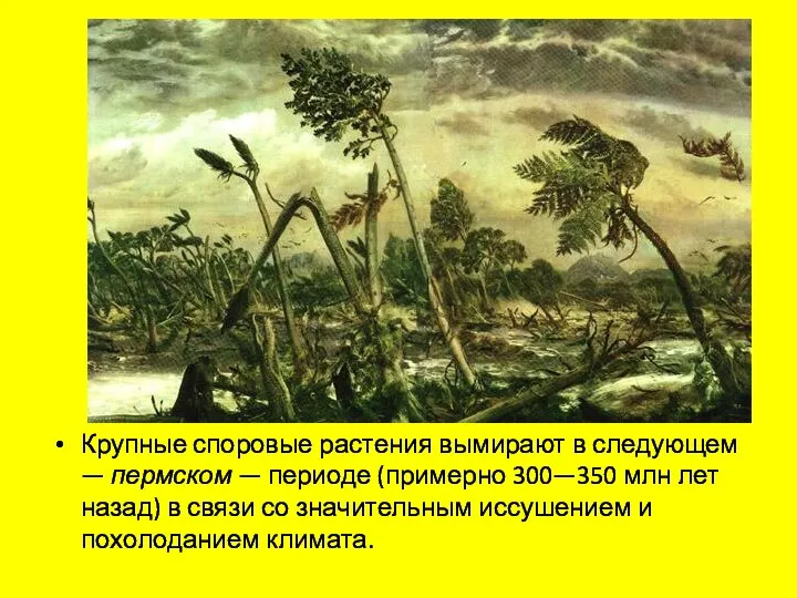 Крупные споровые растения вымирают в следующем — пермском — периоде