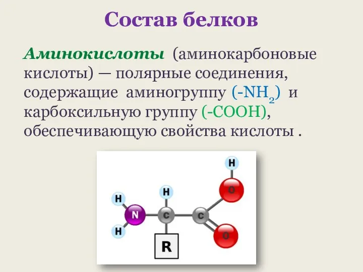 Состав белков Аминокислоты (аминокарбоновые кислоты) — полярные соединения, содержащие аминогруппу