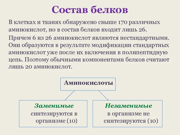 Состав белков В клетках и тканях обнаружено свыше 170 различных