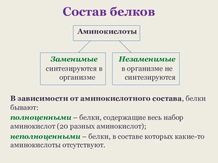 Состав белков В зависимости от аминокислотного состава, белки бывают: полноценными