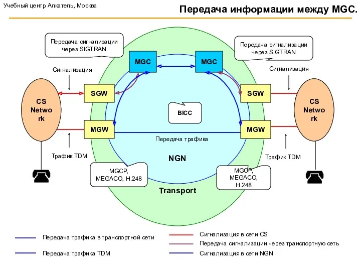 Transport NGN MGW MGC SGW Трафик TDM Сигнализация Трафик TDM