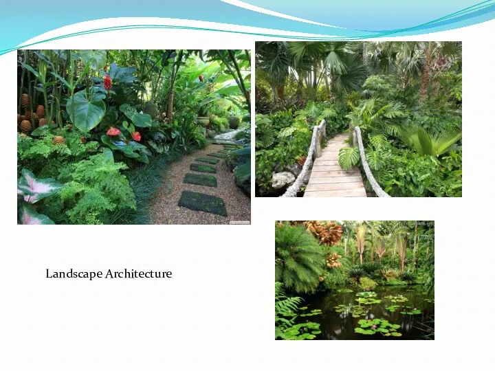 Landscape Architecture