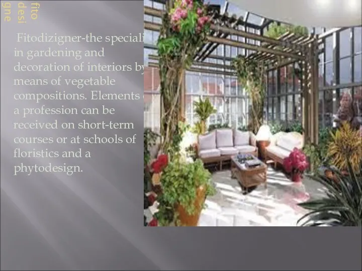 fitodesigner Fitodizigner-the specialist in gardening and decoration of interiors by means of vegetable