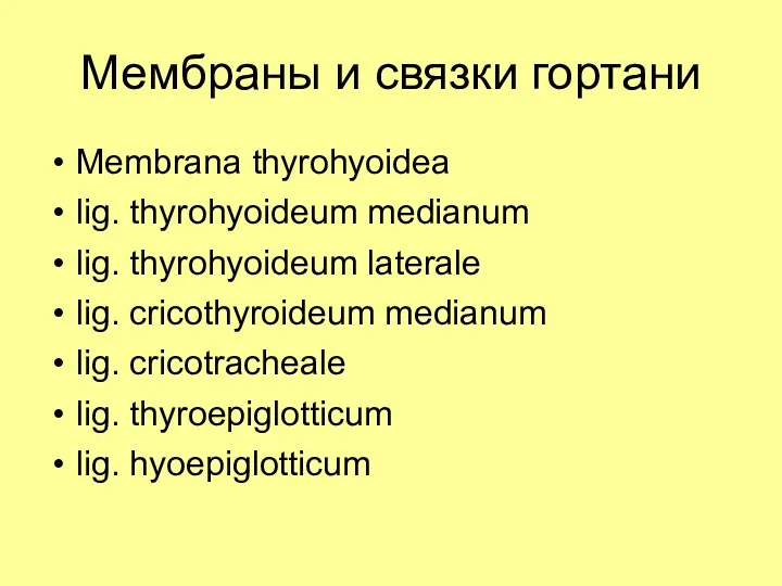 Мембраны и связки гортани Membrana thyrohyoidea lig. thyrohyoideum medianum lig. thyrohyoideum laterale lig.