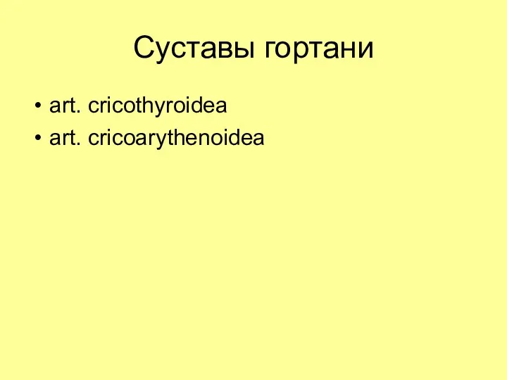 Суставы гортани art. cricothyroidea art. cricoarythenoidea