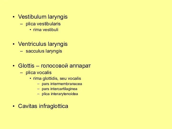 Vestibulum laryngis plica vestibularis rima vestibuli Ventriculus laryngis sacculus laryngis Glottis – голосовой