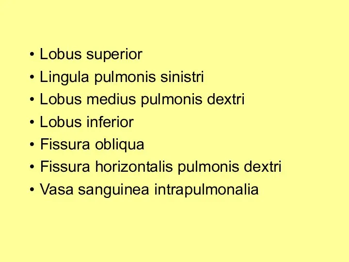 Lobus superior Lingula pulmonis sinistri Lobus medius pulmonis dextri Lobus