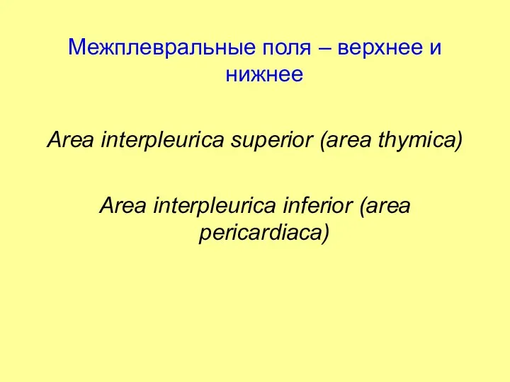 Межплевральные поля – верхнее и нижнее Area interpleurica superior (area thymica) Area interpleurica inferior (area pericardiaca)