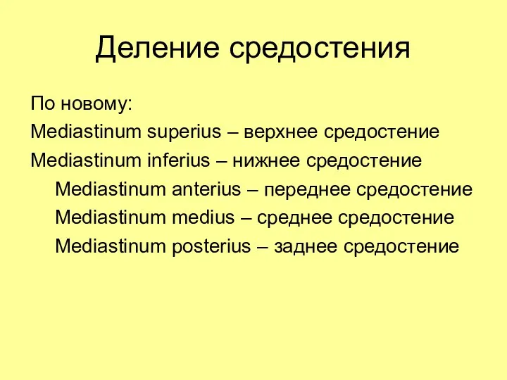 Деление средостения По новому: Mediastinum superius – верхнее средостение Mediastinum