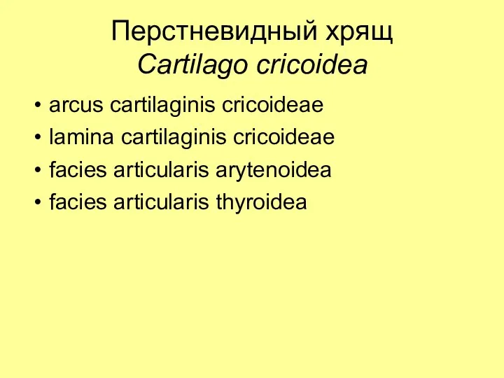 Перстневидный хрящ Cartilago cricoidea arcus cartilaginis cricoideae lamina cartilaginis cricoideae facies articularis arytenoidea facies articularis thyroidea