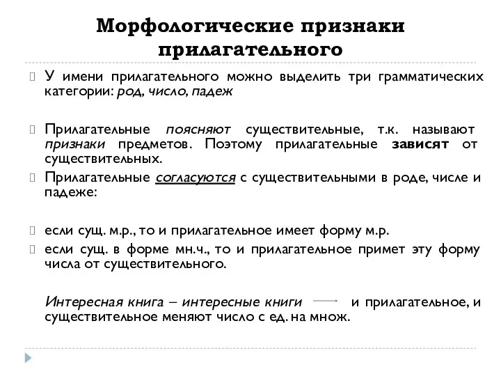 Морфологические признаки прилагательного У имени прилагательного можно выделить три грамматических категории: род, число,