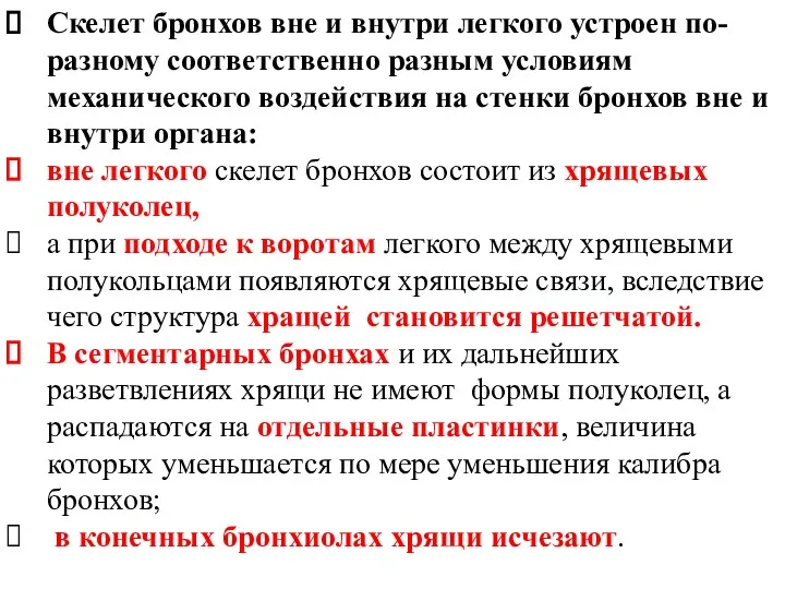 Скелет бронхов вне и внутри легкого устроен по-разному соответственно разным