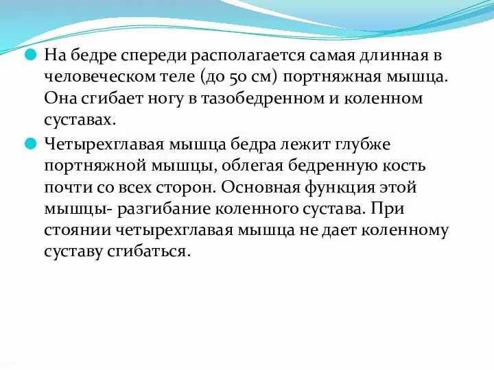 На бедре спереди располагается самая длинная в человеческом теле (до