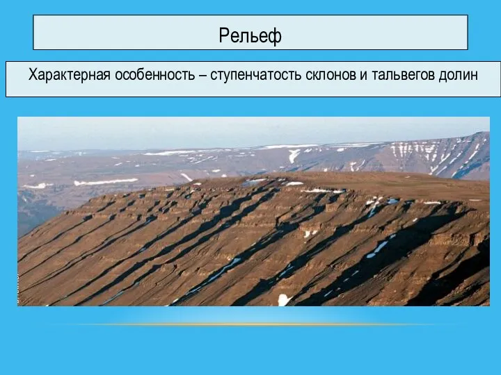 Рельеф Характерная особенность – ступенчатость склонов и тальвегов долин