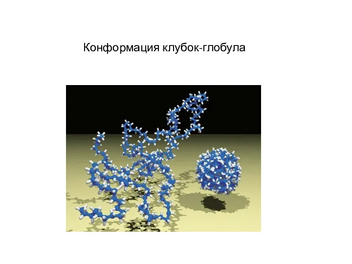 Конформация клубок-глобула