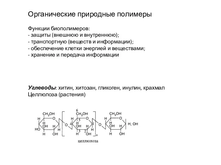 Органические природные полимеры Функции биополимеров: - защиты (внешнюю и внутреннюю);