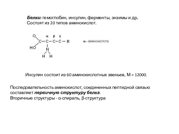 Белки: гемоглобин, инсулин, ферменты, энзимы и др. Состоят из 20