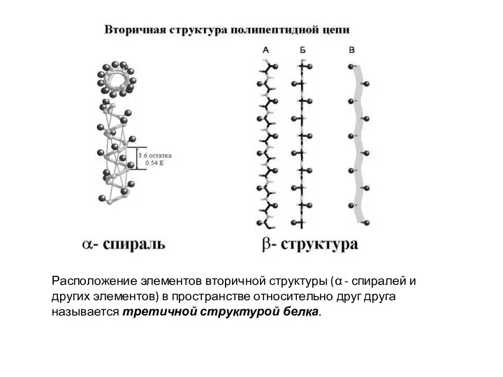 Расположение элементов вторичной структуры (α - спиралей и других элементов)