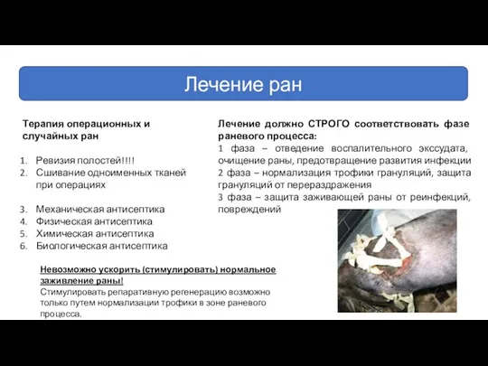 Лечение ран Терапия операционных и случайных ран Ревизия полостей!!!! Сшивание одноименных тканей при