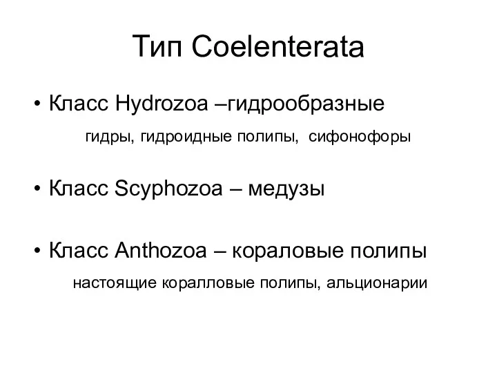 Тип Coelenterata Класс Hydrozoa –гидрообразные гидры, гидроидные полипы, сифонофоры Класс Scyphozoa – медузы