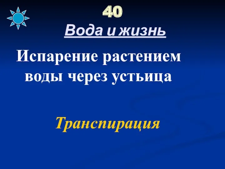 40 Вода и жизнь Испарение растением воды через устьица Транспирация