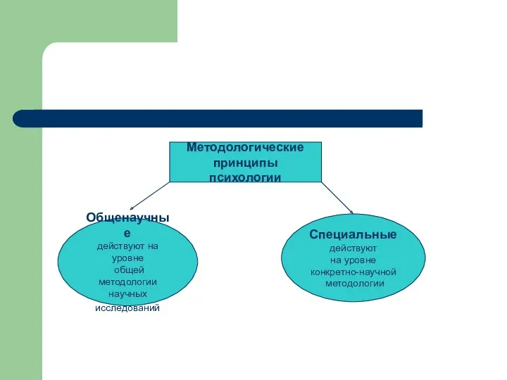 Методологические принципы психологии Методологические принципы психологии Общенаучные действуют на уровне
