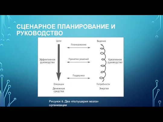 СЦЕНАРНОЕ ПЛАНИРОВАНИЕ И РУКОВОДСТВО Рисунок 8. Два «полушария мозга» организации