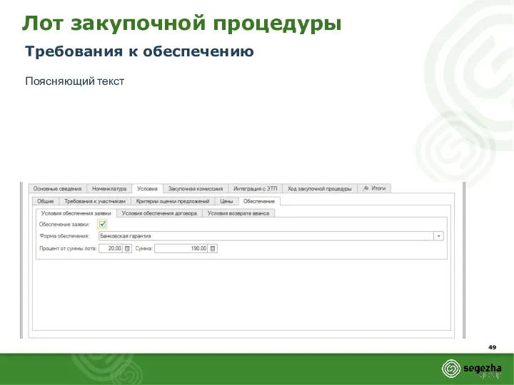 Лот закупочной процедуры Требования к обеспечению Поясняющий текст