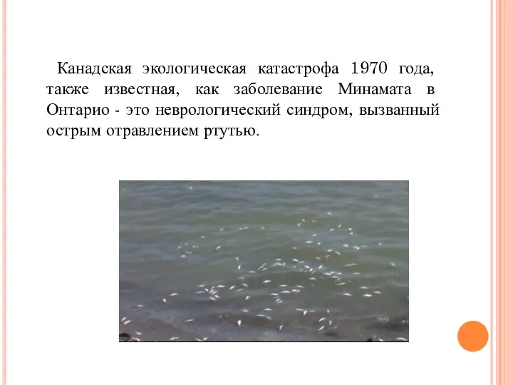 Канадская экологическая катастрофа 1970 года, также известная, как заболевание Минамата