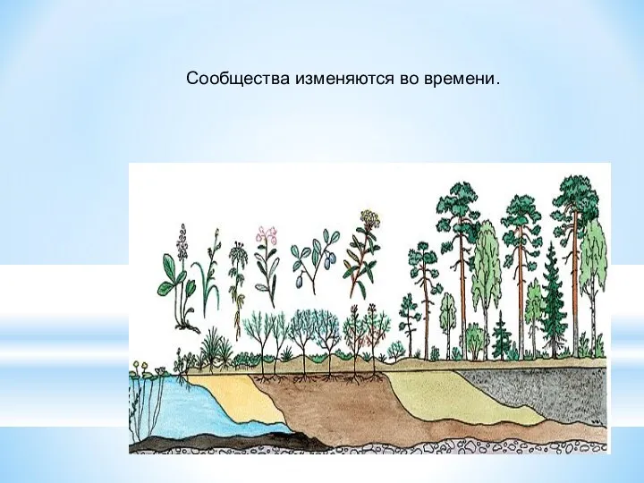 Сообщества изменяются во времени.