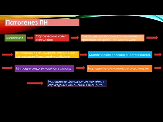 Патогенез ПН Ангиогенез Образование новых капилляров Секреция растворимого ангиогенного фактора