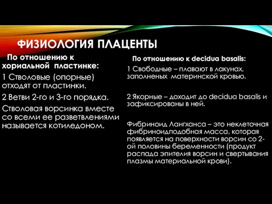 ФИЗИОЛОГИЯ ПЛАЦЕНТЫ По отношению к хориальной пластинке: 1 Стволовые (опорные) отходят от пластинки.