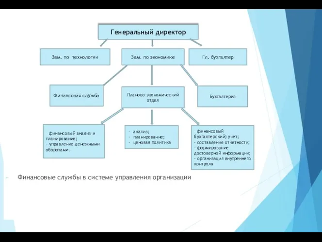 Финансовые службы в системе управления организации Генеральный директор Зам. по