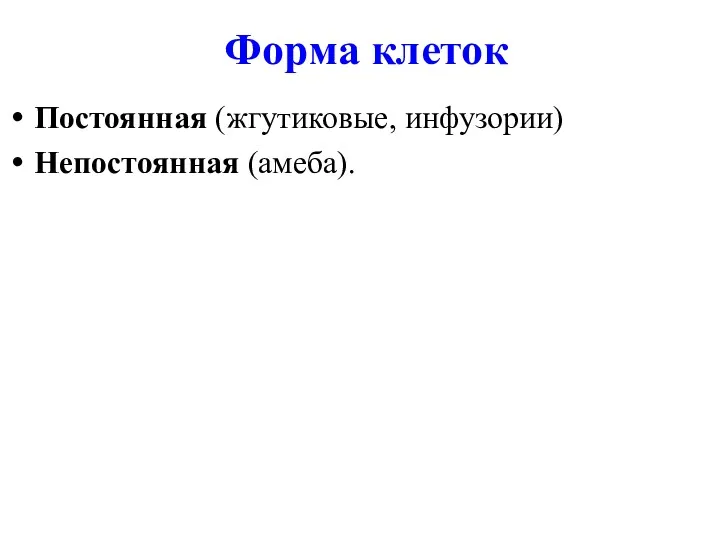 Форма клеток Постоянная (жгутиковые, инфузории) Непостоянная (амеба).