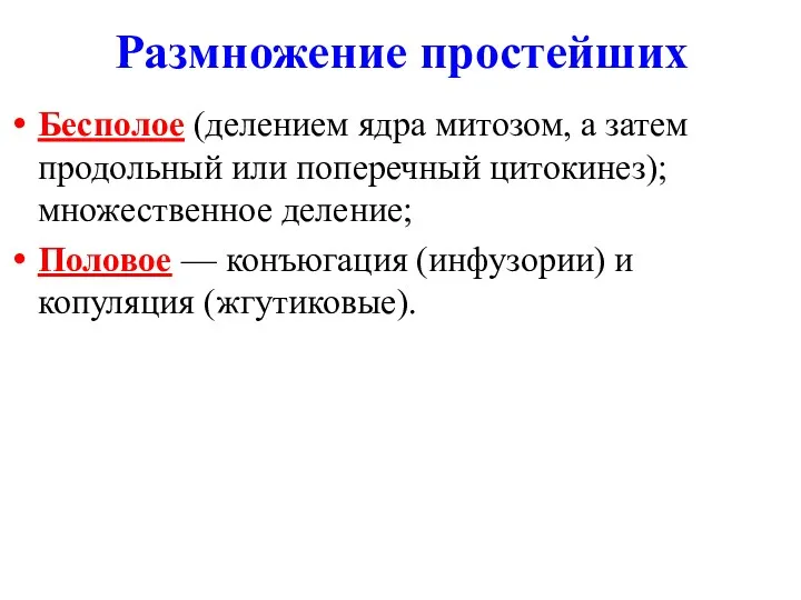 Размножение простейших Бесполое (делением ядра митозом, а затем продольный или