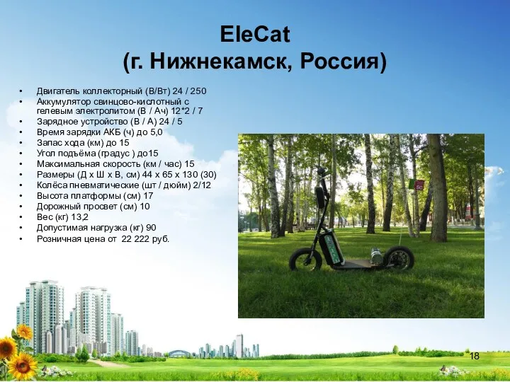 EleCat (г. Нижнекамск, Россия) Двигатель коллекторный (В/Вт) 24 / 250