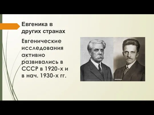 Евгеника в других странах Евгенические исследования активно развивались в СССР