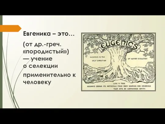 Евгеника – это… (от др.-греч. «породистый») — учение о селекции применительно к человеку