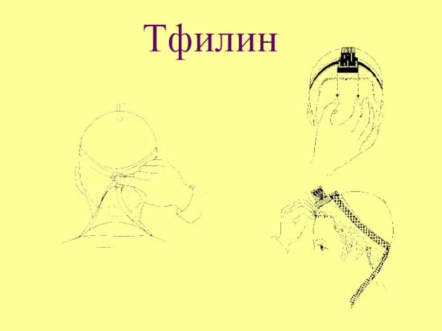 Тфилин