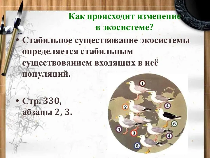 Как происходит изменение в экосистеме? Стабильное существование экосистемы определяется стабильным