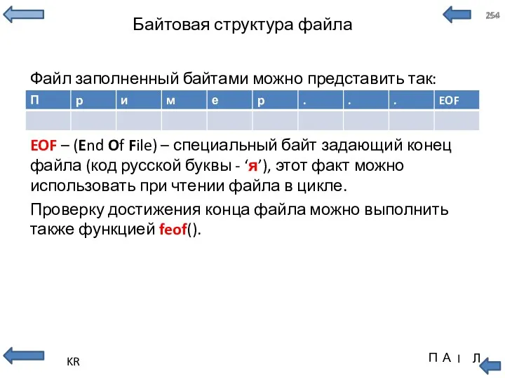 Байтовая структура файла Файл заполненный байтами можно представить так: EOF