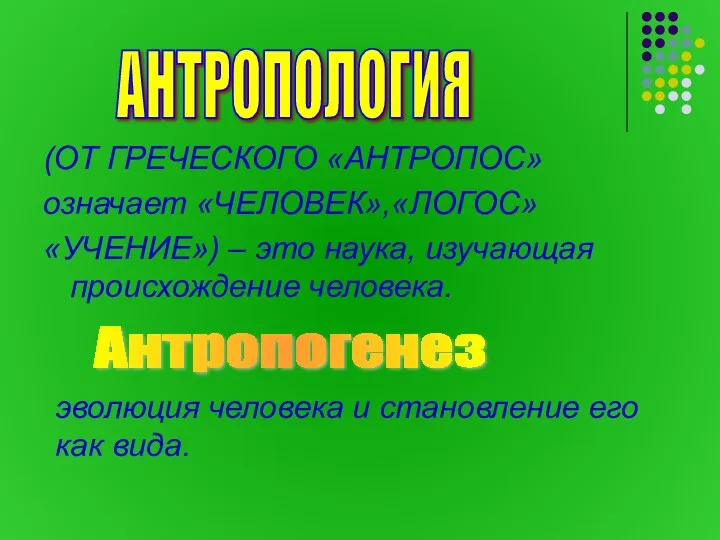 (ОТ ГРЕЧЕСКОГО «АНТРОПОС» означает «ЧЕЛОВЕК»,«ЛОГОС» «УЧЕНИЕ») – это наука, изучающая