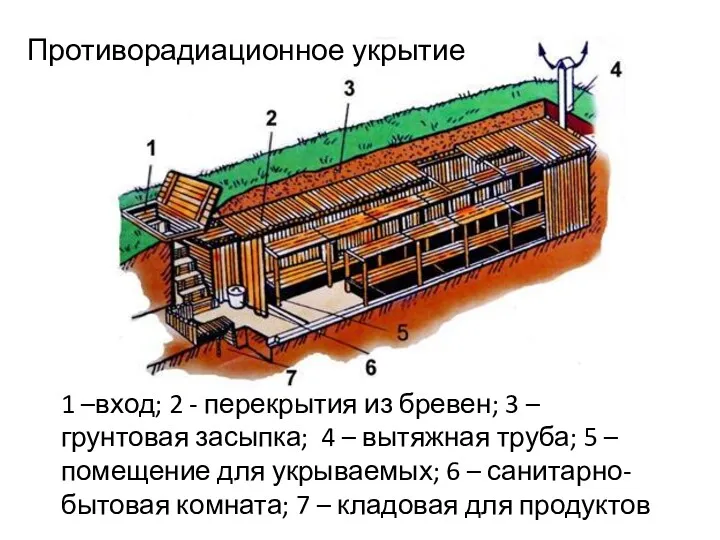 1 –вход; 2 - перекрытия из бревен; 3 – грунтовая