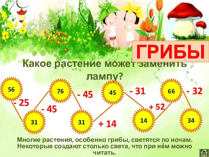 Какое растение может заменить лампу? Многие растения, особенно грибы, светятся