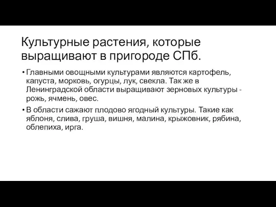 Культурные растения, которые выращивают в пригороде СПб. Главными овощными культурами