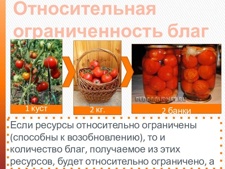 2 банки 1 куст 2 кг. Относительная ограниченность благ Если