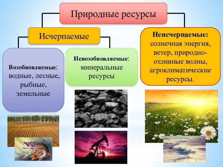 Природные ресурсы Исчерпаемые Возобновляемые: водные, лесные, рыбные, земельные Неисчерпаемые: солнечная энергия, ветер, природно-отливные