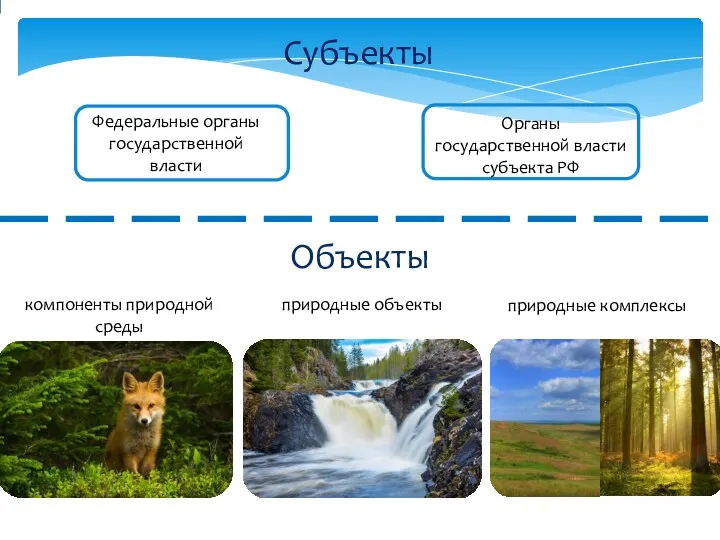 Субъекты Федеральные органы государственной власти Органы государственной власти субъекта РФ