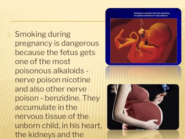 Smoking during pregnancy is dangerous because the fetus gets one