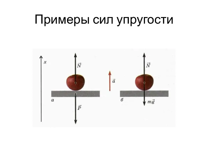 Примеры сил упругости